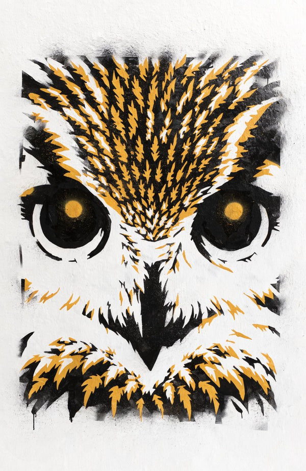 Eule – Street-Art-Stencil von Urban Artery
