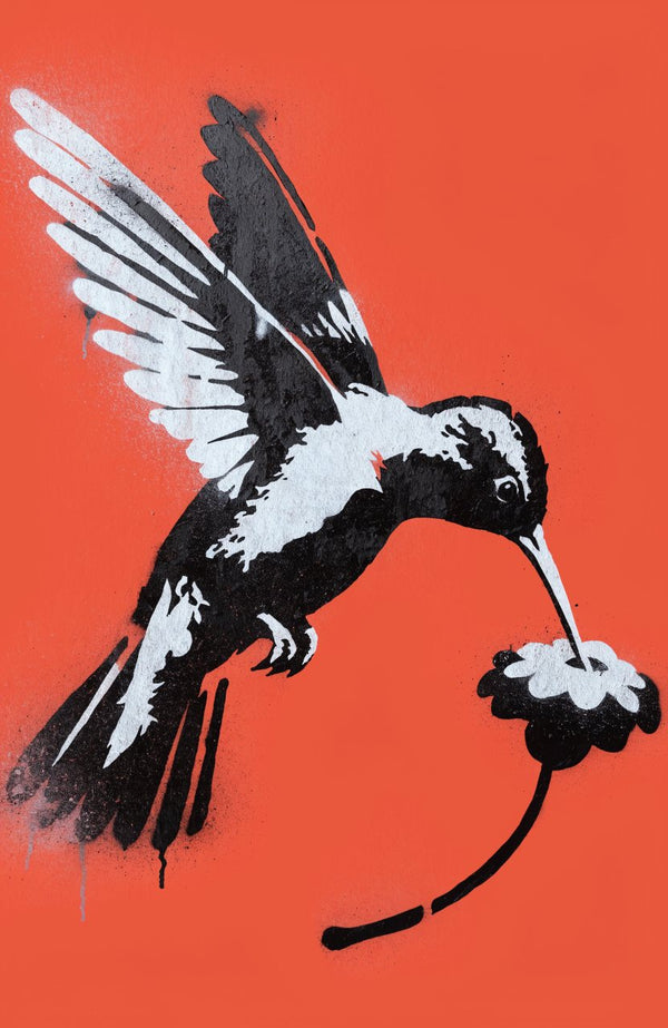 Kolibri auf Orange – Street-Art-Stencil von Urban Artery