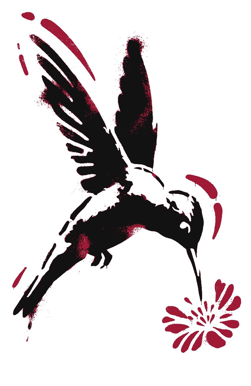 Kolibri Rosa – Street-Art-Stencil von Urban Artery