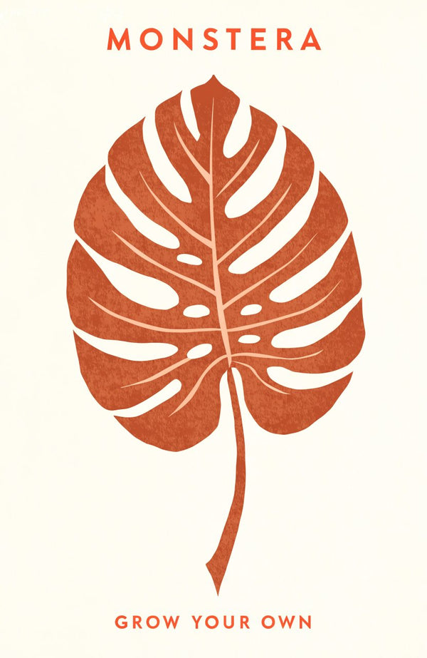Monstera – Street-Art-Stencil von Urban Artery